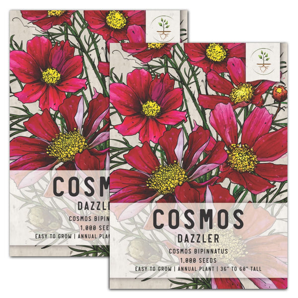 Dazzler Cosmos Seeds For Planting (Cosmos bipinnatus)