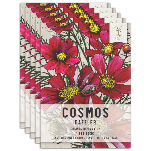 Dazzler Cosmos Seeds For Planting (Cosmos bipinnatus)