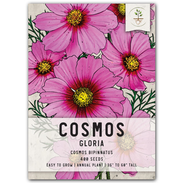 Gloria Cosmos Seeds For Planting (Cosmos bipinnatus)