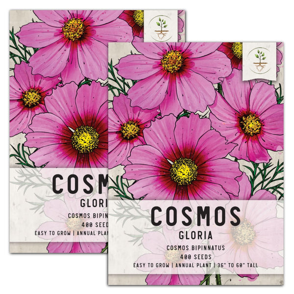 Gloria Cosmos Seeds For Planting (Cosmos bipinnatus)