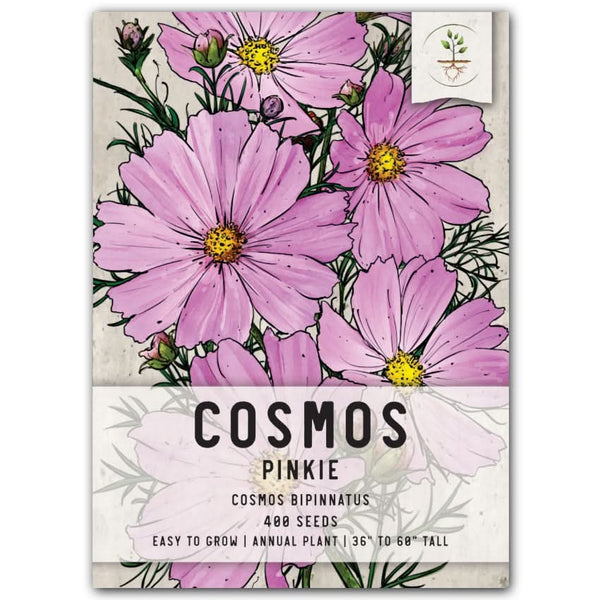 plant cosmos seeds Pinkie Cosmos Seeds For Planting (Cosmos bipinnatus) – Seed Needs LLC