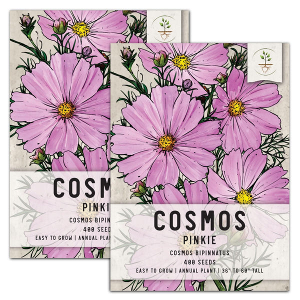 Pinkie Cosmos Seeds For Planting (Cosmos bipinnatus)