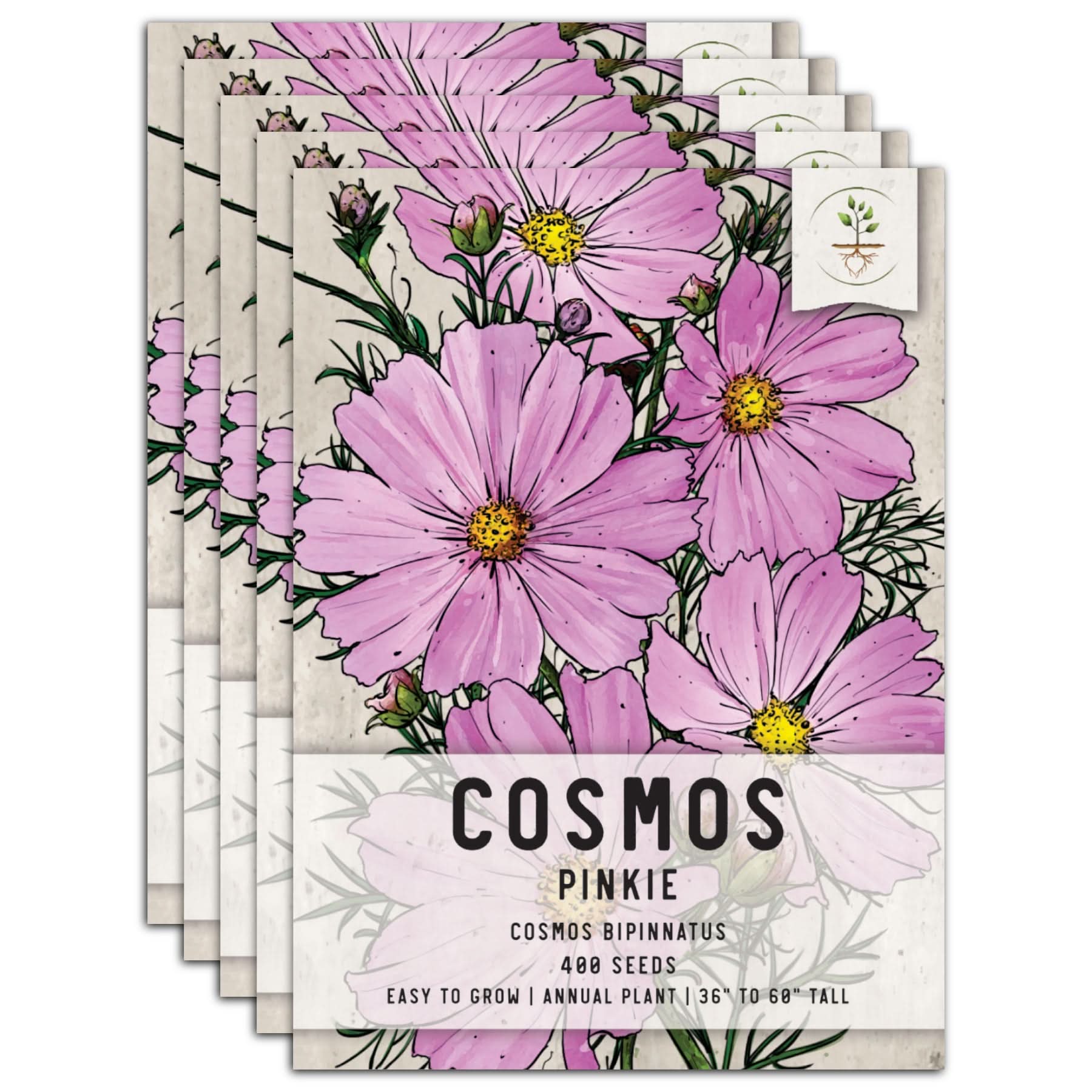 Pinkie Cosmos Seeds For Planting (Cosmos bipinnatus) – Seed Needs LLC