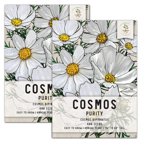 Purity Cosmos Seeds For Planting (Cosmos bipinnatus)