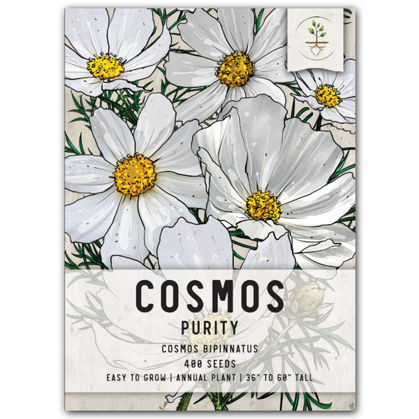 Purity Cosmos Seeds For Planting (Cosmos bipinnatus)