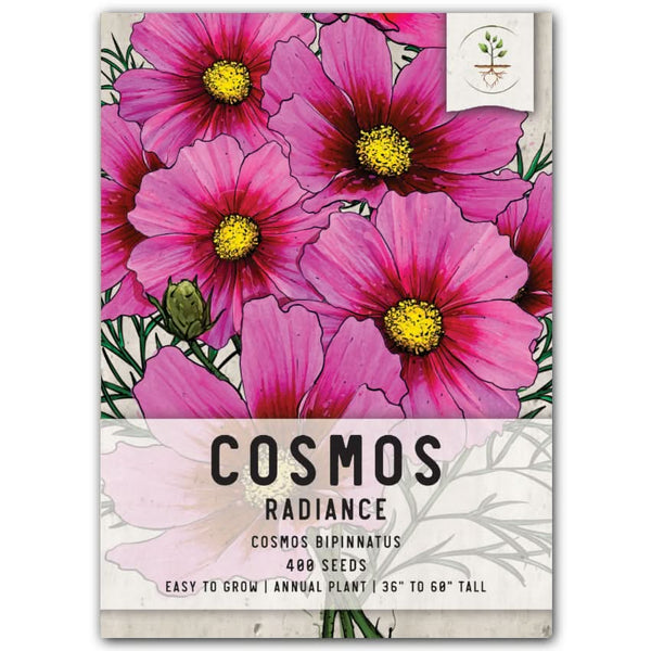 plant cosmos seeds Radiance Cosmos Seeds For Planting (Cosmos bipinnatus) Seed Needs – Seed Needs LLC