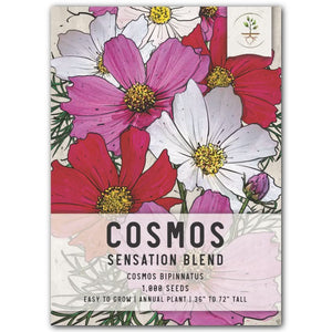Crazy Blend Cosmos Seeds For Planting