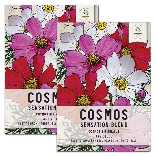 Sensation Mixed Cosmos Seeds For Planting (Cosmos bipinnatus)