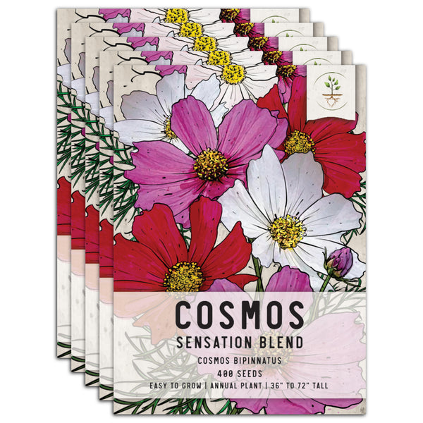 Sensation Mixed Cosmos Seeds For Planting (Cosmos bipinnatus)