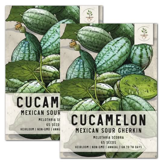 Cucamelon seeds for planting