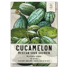 Cucamelon Seeds For Planting, Mexican Sour Gherkin (Melothria scobra)