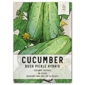 bush pickle cucumber seeds for planting