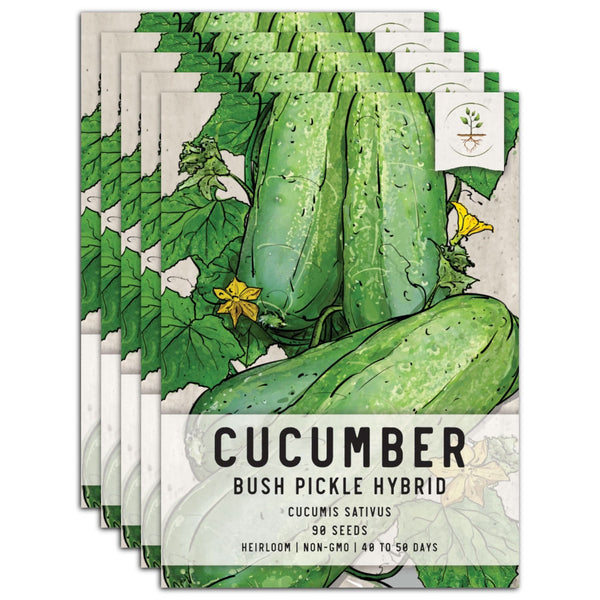 pickle seeds for planting Bush Pickle Cucumber Seeds For Planting (Cucumis sativus) Seed Needs – Seed Needs LLC