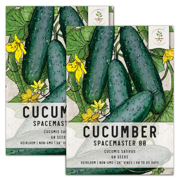 Spacemaster 80 Cucumber Seeds For Planting (Cucumis sativus)