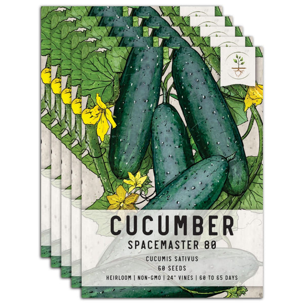 Spacemaster 80 Cucumber Seeds For Planting (Cucumis sativus)