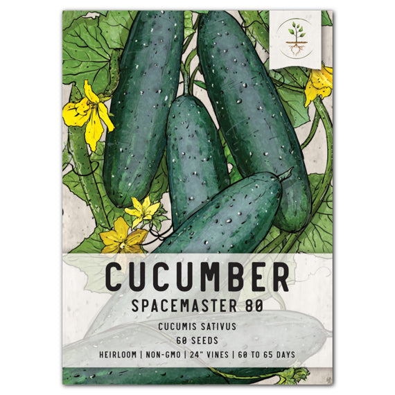 Spacemaster 80 Cucumber Seeds For Planting (Cucumis sativus)