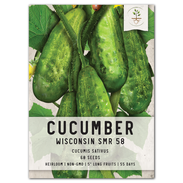 wisconsin smr 58 cucumber seeds for planting