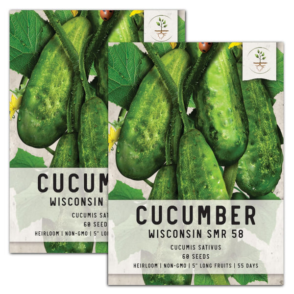 Wisconsin SMR-58 Cucumber Seeds For Planting (Cucumis sativus)