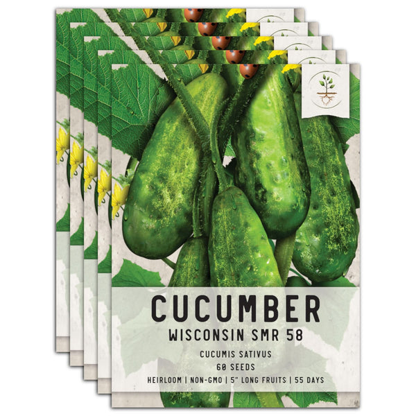 Wisconsin SMR-58 Cucumber Seeds For Planting (Cucumis sativus)