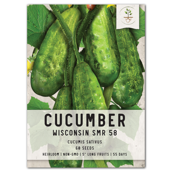 Wisconsin SMR-58 Cucumber Seeds For Planting (Cucumis sativus)