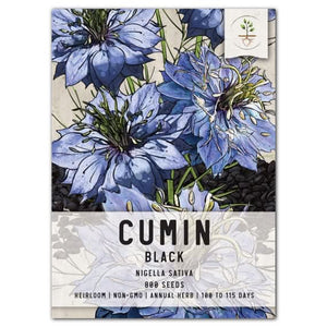 black cumin herb seeds for planting