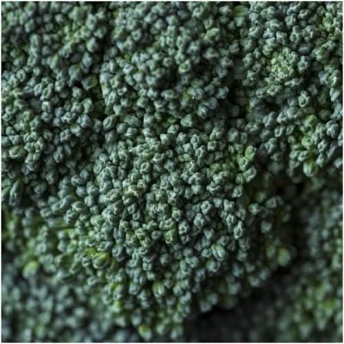 Calabrese Broccoli Seeds For Planting (Brassica oleracea)