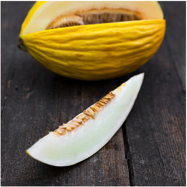 Canary Melon Seeds For Planting (Cucumis melo)