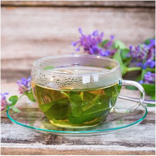 Catmint Herb Seeds For Planting (Nepeta mussinii)