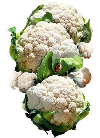 Cauliflower Seed Collection