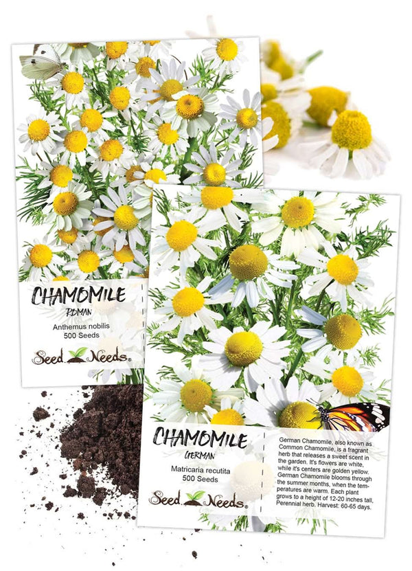 chamomile flower seeds Chamomile Seed Duo – Seed Needs LLC