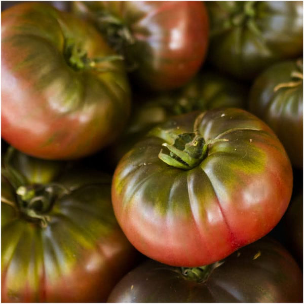 Black Tomato Seed Collection