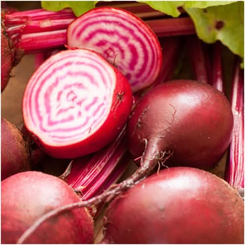 Chioggia Beet Seeds For Planting (Beta vulgaris)