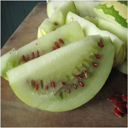 Citron Red Seeded Watermelon Seeds For Planting (Citrullus lanatus)