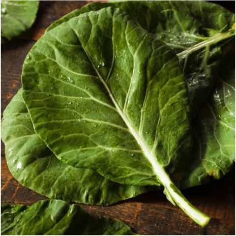 Georgia Southern Collard Seeds For Planting (Brassica oleracea)