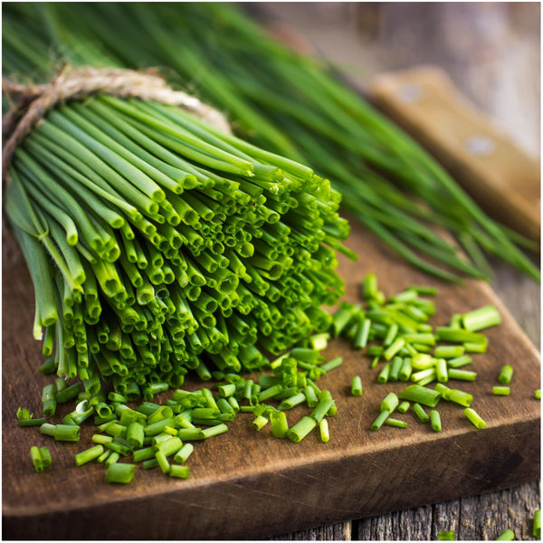 Chives Seed Packet Duo