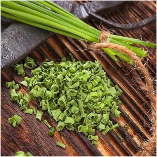 Common Chives Herb Seeds For Planting (Allium schoenoprasum)