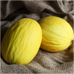 Crenshaw Melon Seeds For Planting (Cucumis melo)