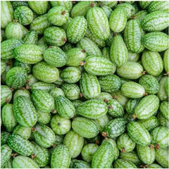 Cucamelon Seeds For Planting, Mexican Sour Gherkin (Melothria scobra)