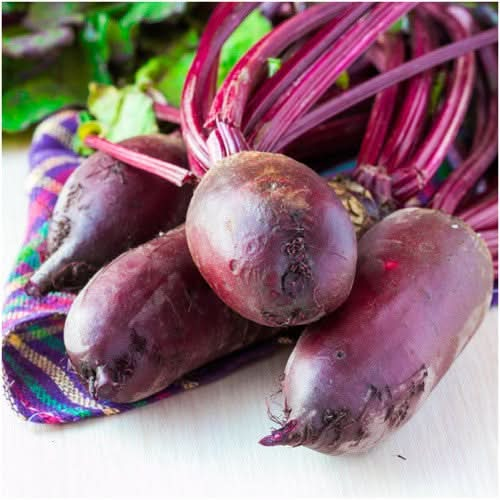 Cylindra Beet Seeds (Beta vulgaris)