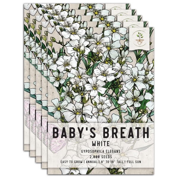 Baby's Breath Seeds For Planting (Gyposophila elegans)