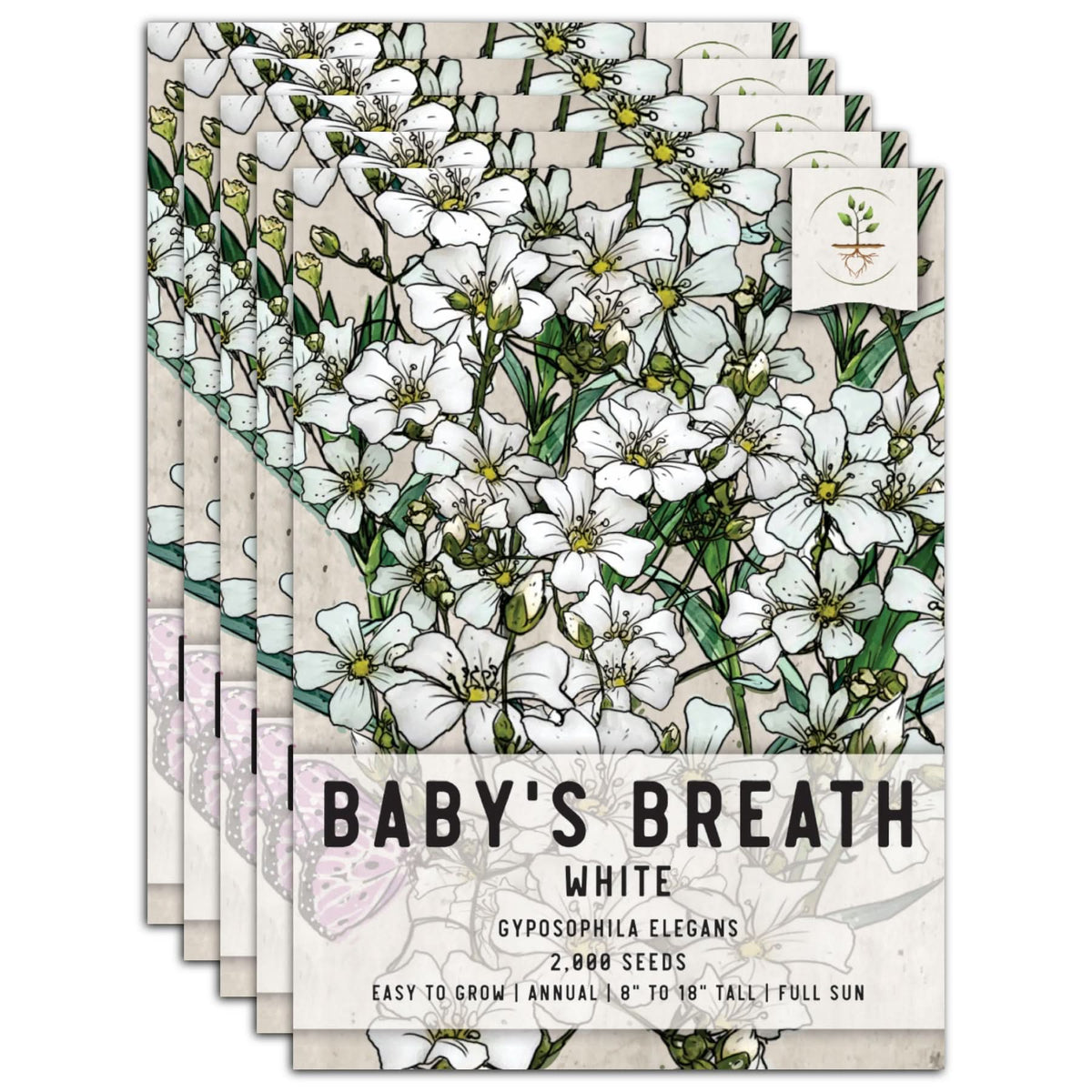 White Baby's Breath Seed For Planting (Gyposophila elegans) Seed Needs ...
