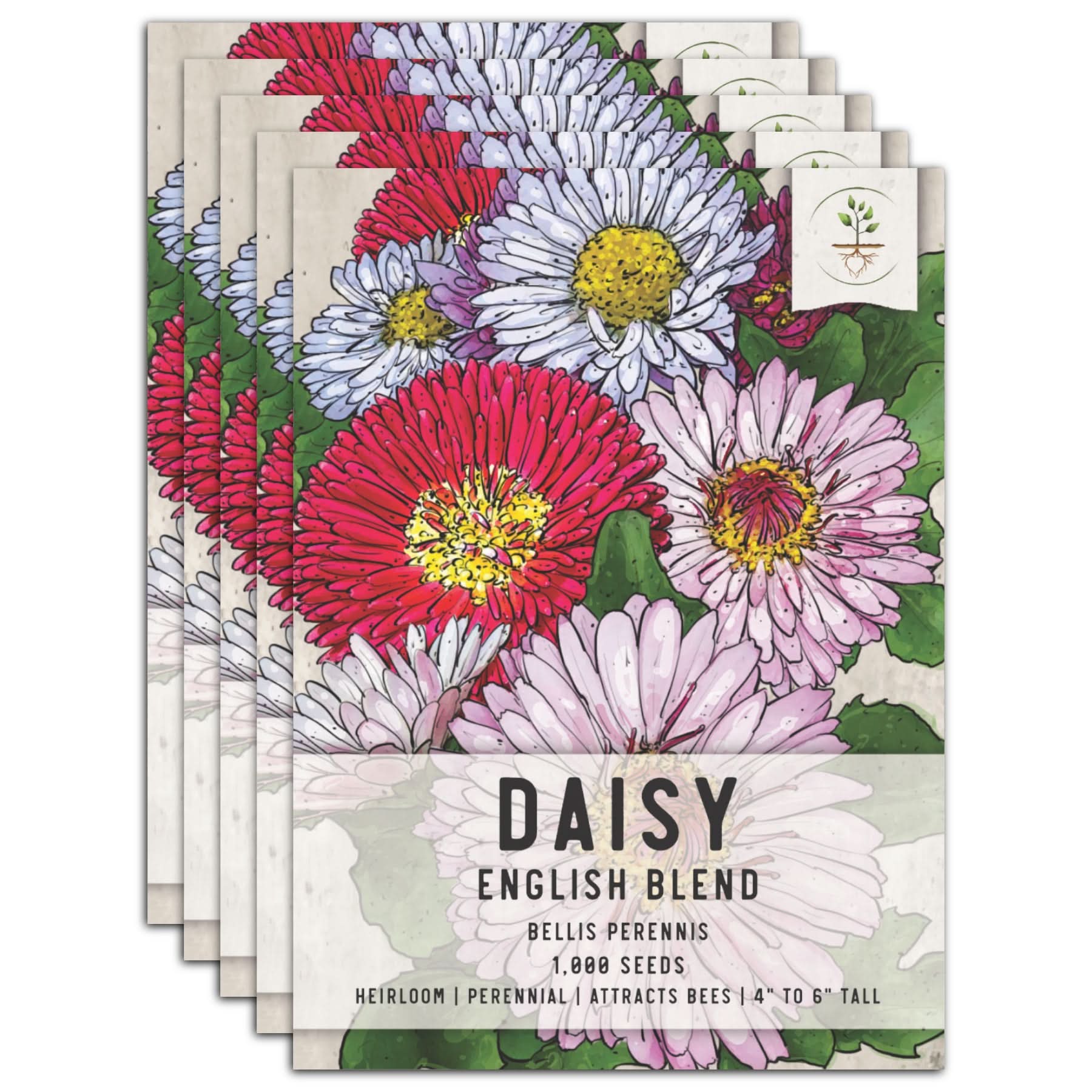 English Daisy Seed Mixture