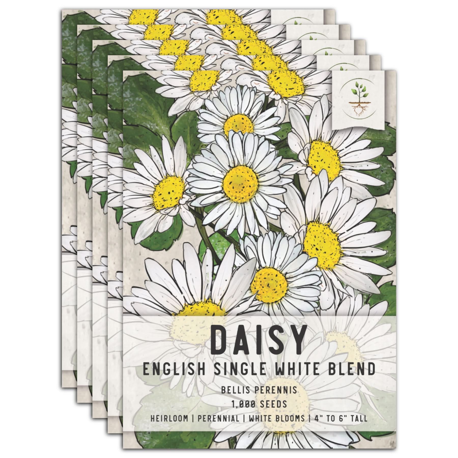 White English Daisy Twin Pack of 1,000 Seeds - Thumbnail 2
