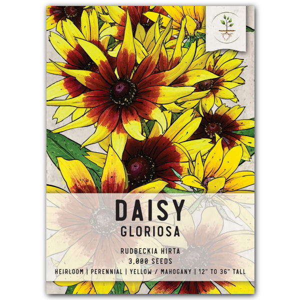 Gloriosa Daisy Seeds For Planting (Rudbeckia Gloriosa)