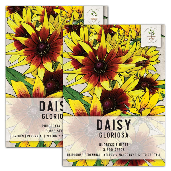 Gloriosa Daisy Seeds For Planting (Rudbeckia Gloriosa)