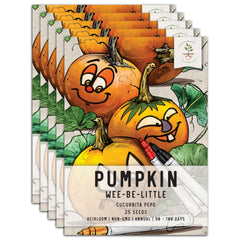 SEED FAVORS  LITTLE PUMPKIN freeshipping - Bushel & Peck Paper