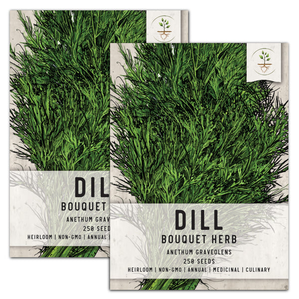Dill Herb Seeds For Planting (Anethum graveolens)
