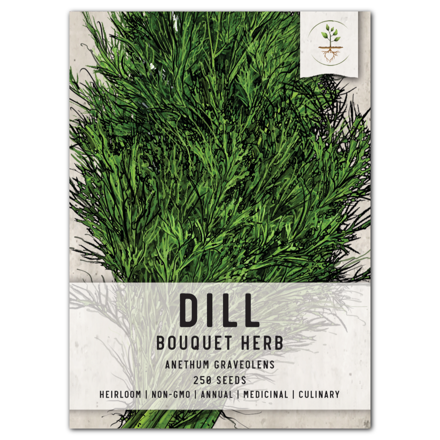Dill Herb Seeds For Planting (Anethum graveolens)