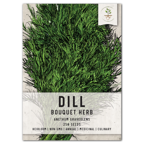 Dill Herb Seeds For Planting (Anethum graveolens)