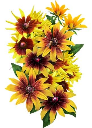 Gloriosa Daisy Seeds For Planting